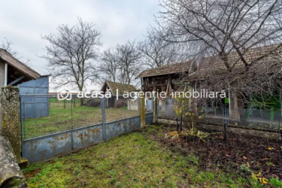 Casă + livadă tânără + curte 2.500 mp în Dorobanți