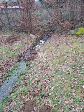 Teren deosebit pozitionat, cu livada, langa padure, pe Valea Avrigului