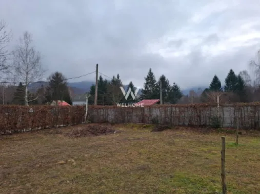 Teren deosebit pozitionat, cu livada, langa padure, pe Valea Avrigului