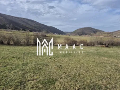 Teren extravilan | Investitie | Orlat