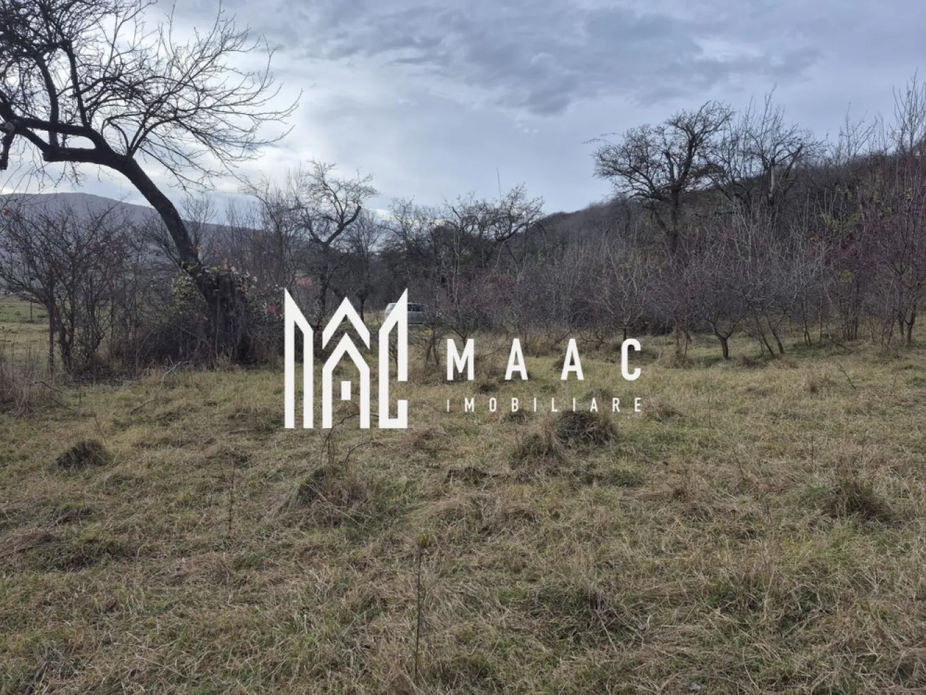 Teren de vanzare | Orlat | Extravilan - Maac imobiliare vă propune spre vânzare un teren de 2800 mp, situat în comuna Orlat, un loc cunoscut pentru peisajele sale spectaculoase și liniștea specifică zonei de munte. Proprietatea se remarcă prin vederi superbe spre împrejurimi, fiind alegerea ideală pentru cei care caută un spațiu generos, cu potențial ridicat de dezvoltare sau pentru o investiție pe termen lung. Terenul este împrejmuit cu stâlpi amplasați din 3 în 3 metri, delimitând clar suprafața și oferind un plus de siguranță și organizare pentru viitorul proprietar. Un avantaj rar întâlnit este prezența unui izvor cu apă potabilă pe teren, reprezentând o resursă naturală deosebit de valoroasă, ideală pentru consum, activități gospodărești sau pentru eventuale proiecte turistice ori de agrement. Pentru mai multe detalii sau programarea unei vizionari, va invitam sa contactati Maac imobiliare: CP2818104 }}