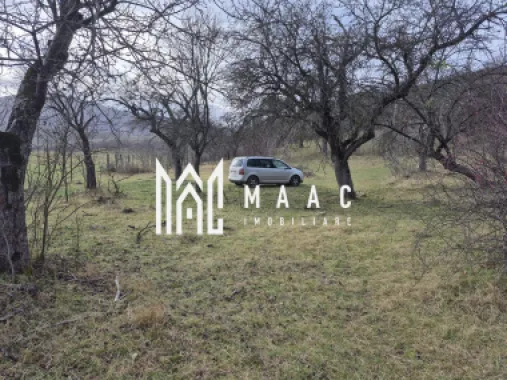 Teren de vanzare | Orlat | Extravilan