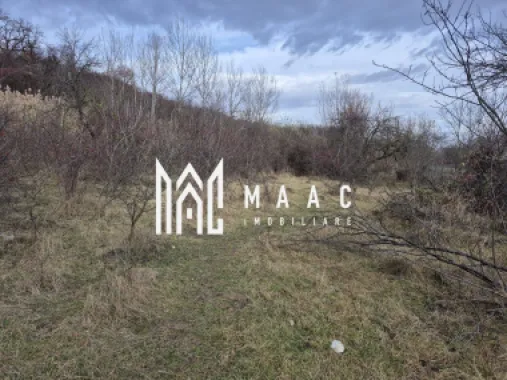 Teren de vanzare | Orlat | Extravilan