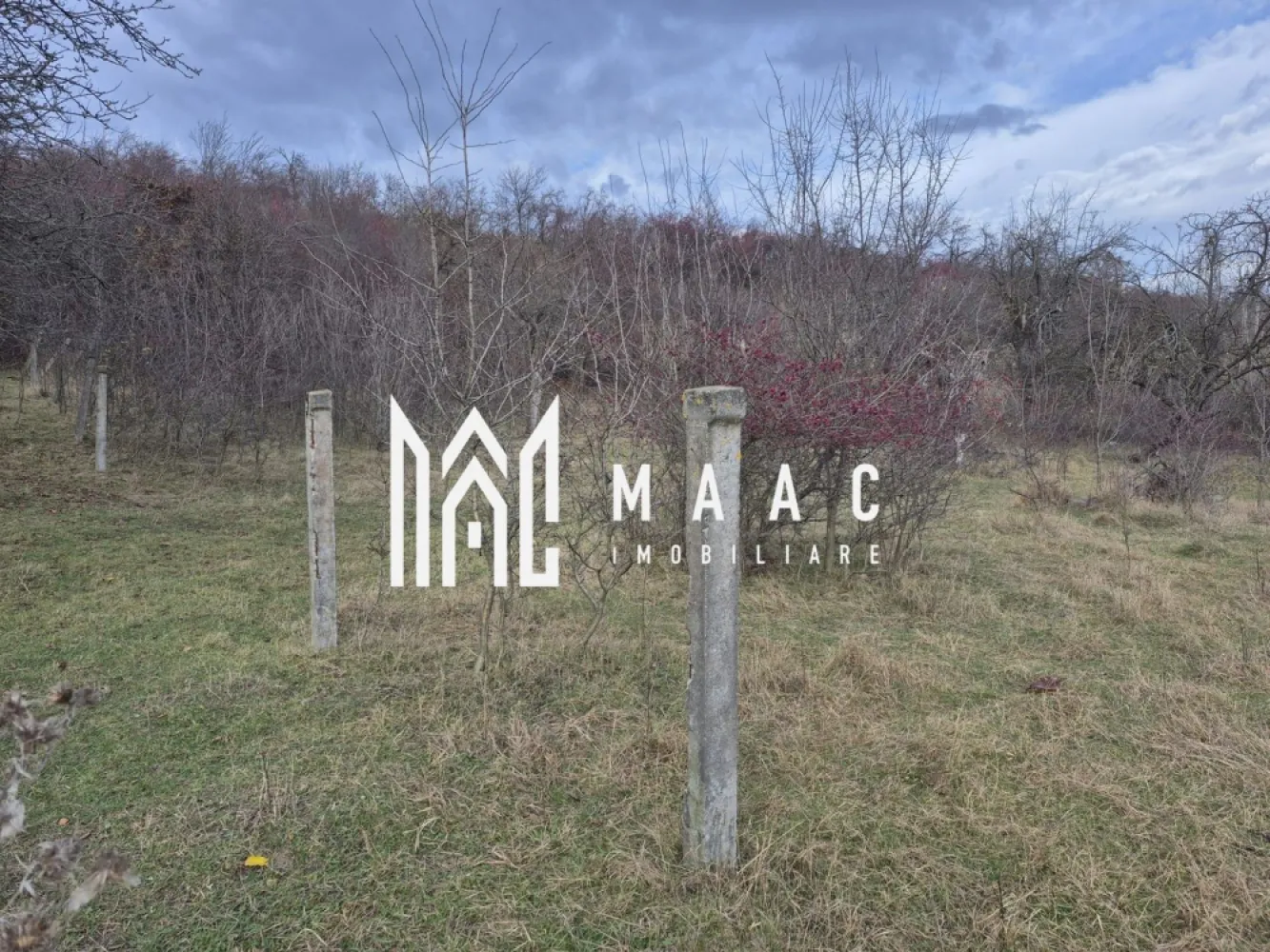 Teren de vanzare | Orlat | Extravilan