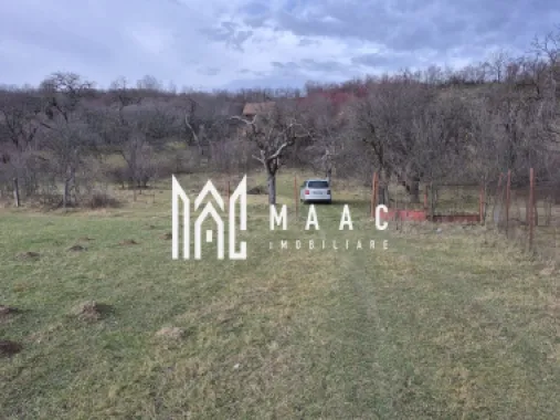 Teren de vanzare | Orlat | Extravilan