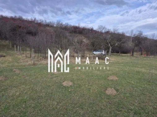 Teren de vanzare | Orlat | Extravilan