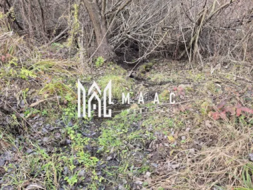 Teren de vanzare | Orlat | Extravilan