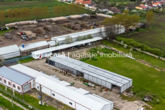 Hale depozitare/producție 2.000 mp si 10.000 mp teren în Pecica