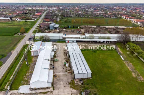 Hale depozitare/producție 2.000 mp si 10.000 mp teren în Pecica