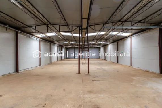 Hale depozitare/producție 2.000 mp si 10.000 mp teren în Pecica