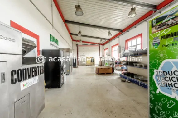 Hale depozitare/producție 2.000 mp si 10.000 mp teren în Pecica