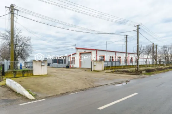 Hale depozitare/producție 2.000 mp si 10.000 mp teren în Pecica