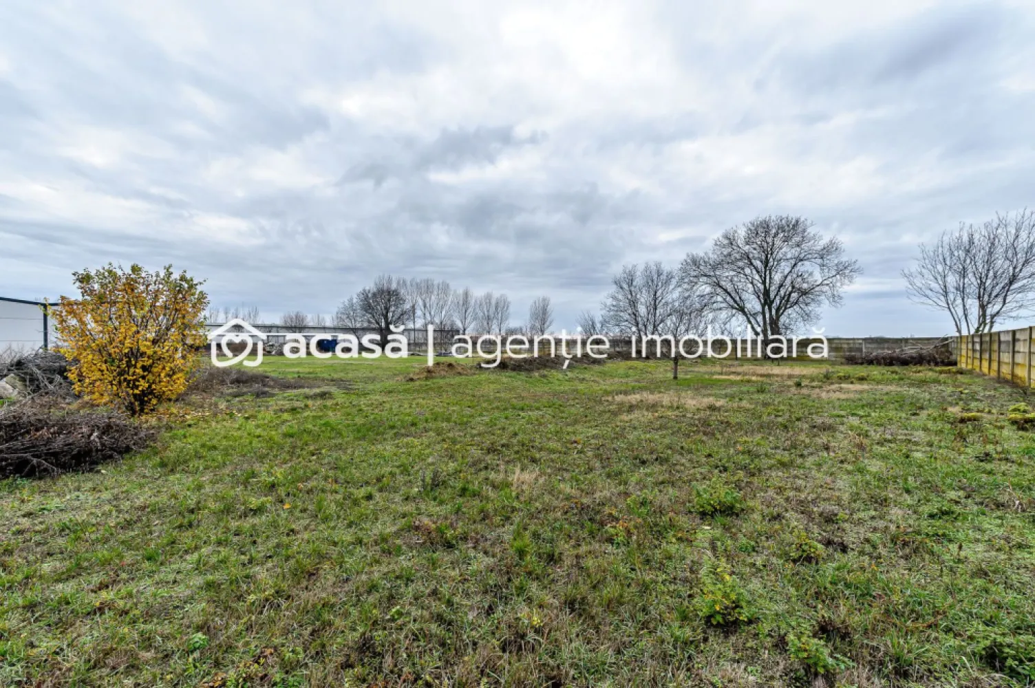 Hale depozitare/producție 2.000 mp si 10.000 mp teren în Pecica