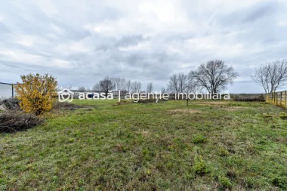 Hale depozitare/producție 2.000 mp si 10.000 mp teren în Pecica