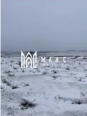 Logo MAAC IMOBILIARE logo