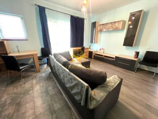 2 camere, curte, UMF, Zorilor, UTCN, Golden Tulip, LIDL, USAMV