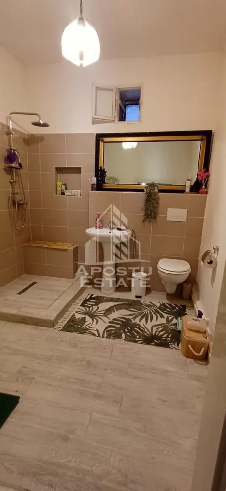 Casa din caramida de vanzare Freidorf Timisoara