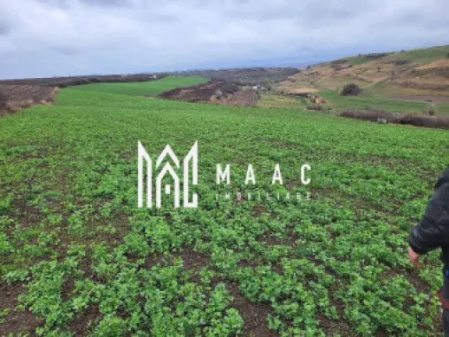 Logo MAAC IMOBILIARE logo