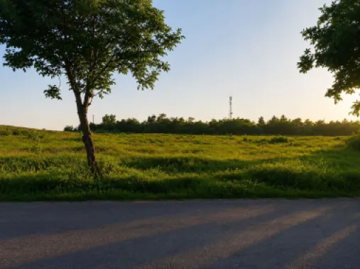 Vânzare teren intravilan – 9.500 mp, DN26 -Padurea Garboavele, Tulucesti