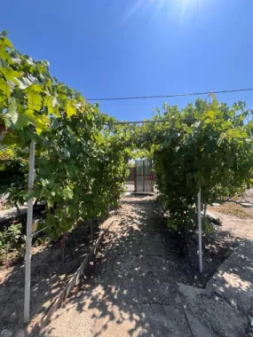 Casă individuală de vânzare în Braniștea - Teren 464 mp -76000 euro
