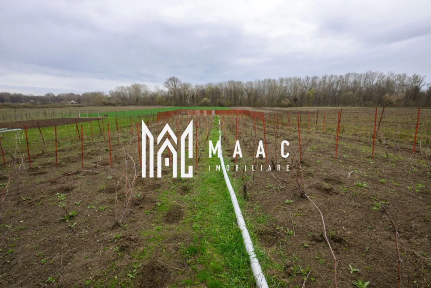 CASA DE VANZARE| 2087 MP TEREN| COMUNA FARTATESTI|