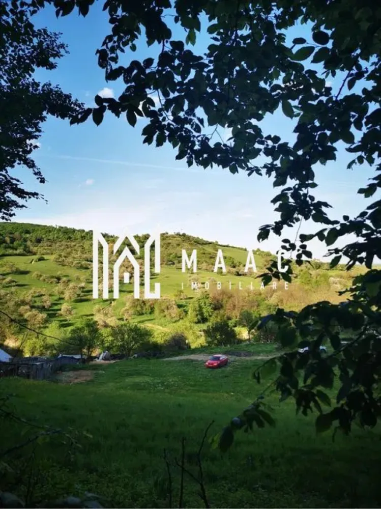 Teren | Intravilan | 5129 MP | 2 Cabane AFrame | Oportunitate Investiție | Bradu