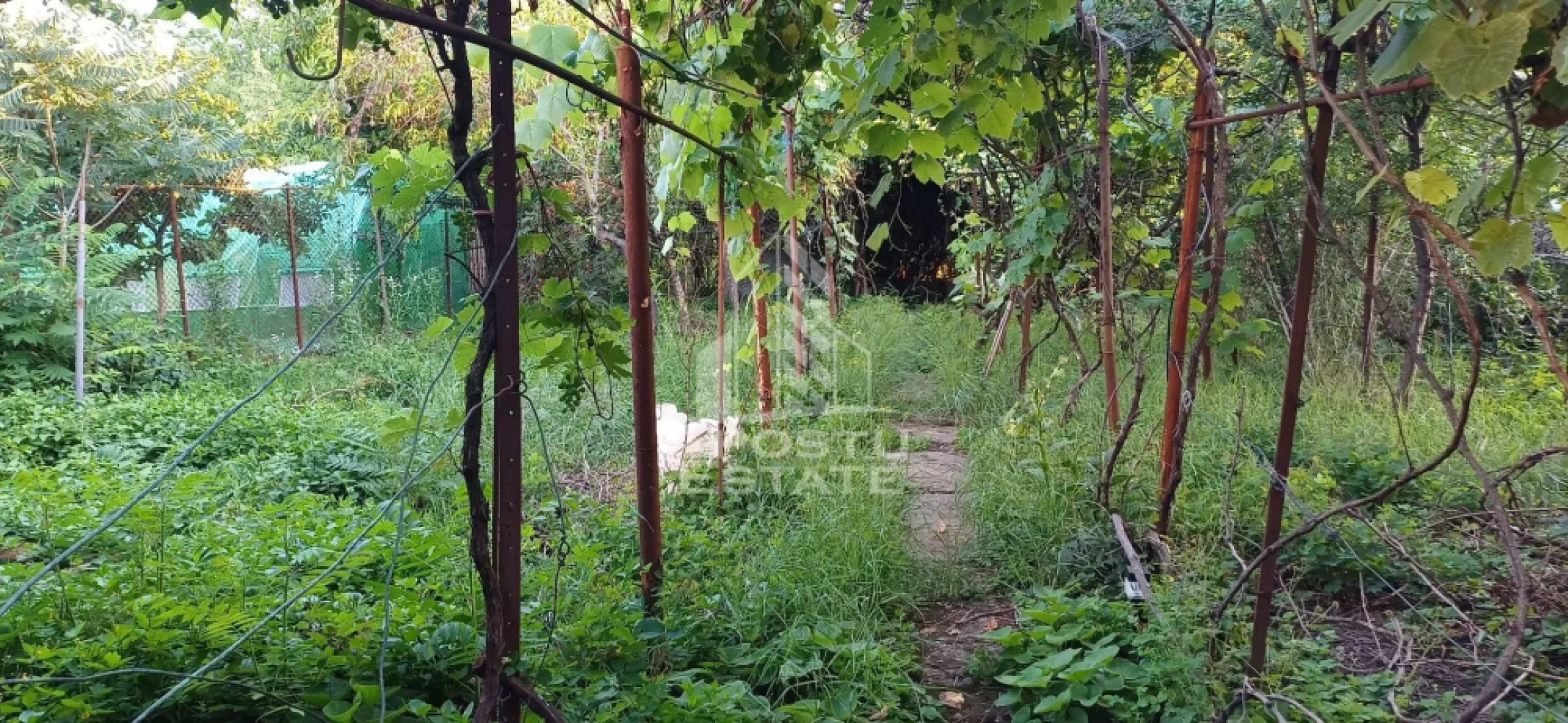 Casa din caramida de vanzare Freidorf Timisoara