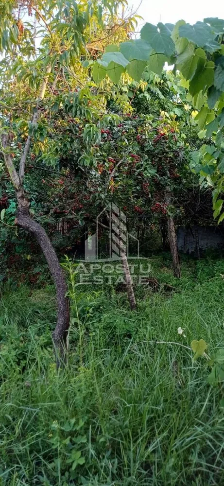 Casa din caramida de vanzare Freidorf Timisoara