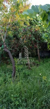 Casa din caramida de vanzare Freidorf Timisoara