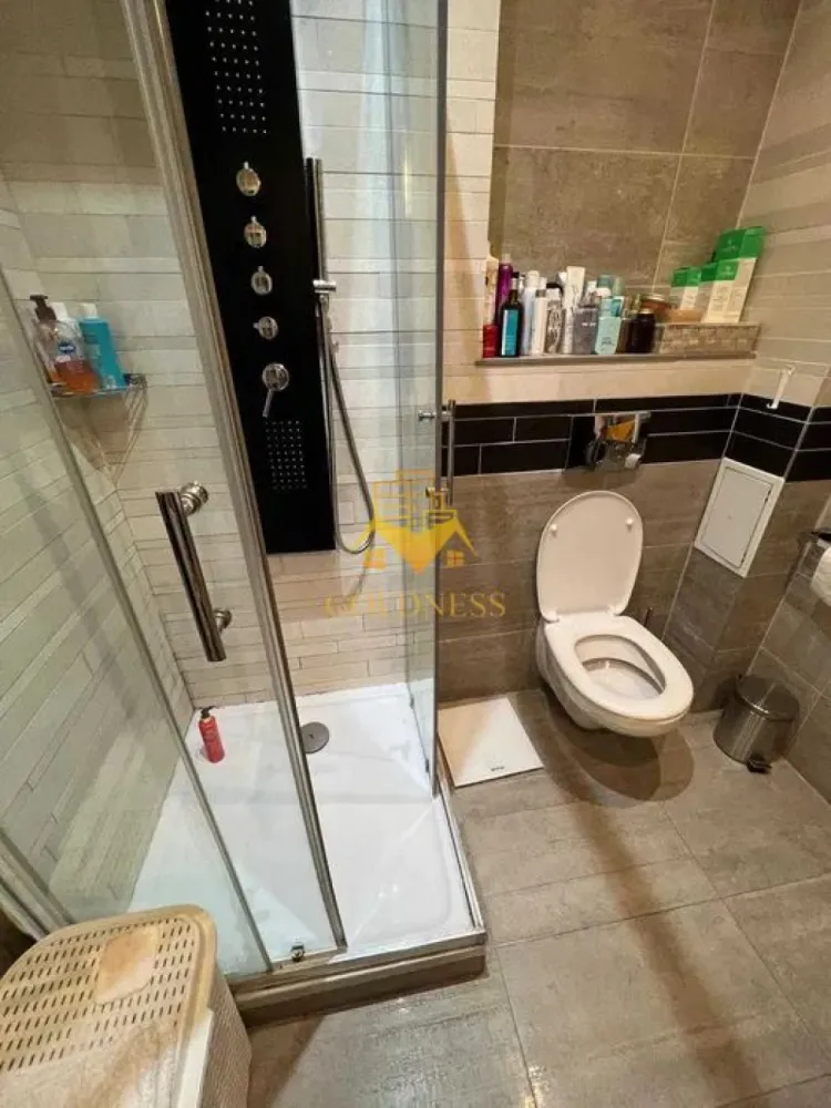 2 Camere Openspace, Intre lacuri, Iulius Mall, FSEGA, Vaida Voevod