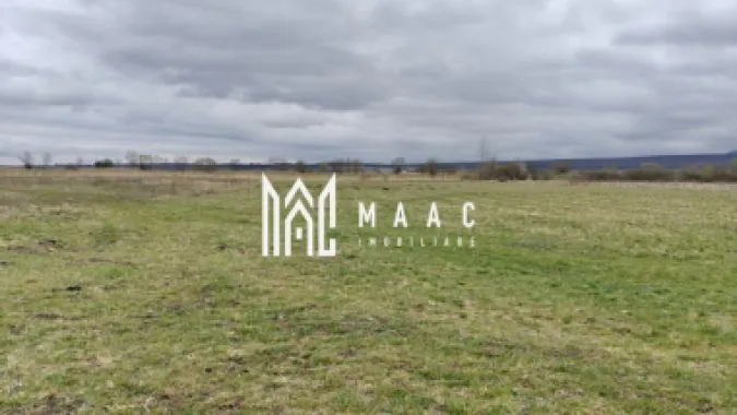 Teren extravilan I 2400 mp I Arabil I Teren drept I Cristian