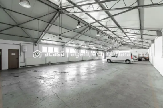 4.049 mp Hale industriale în Arad, aproape de A1