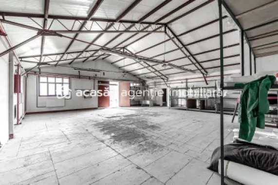 4.049 mp Hale industriale în Arad, aproape de A1