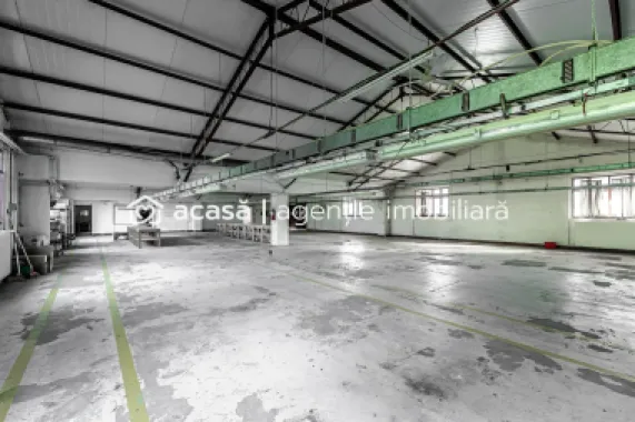4.049 mp Hale industriale în Arad, aproape de A1