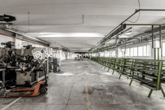 4.049 mp Hale industriale în Arad, aproape de A1