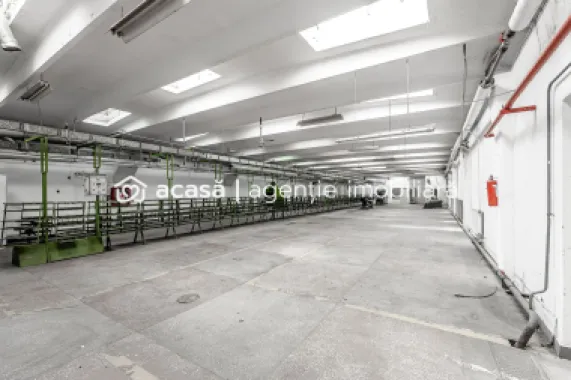 4.049 mp Hale industriale în Arad, aproape de A1