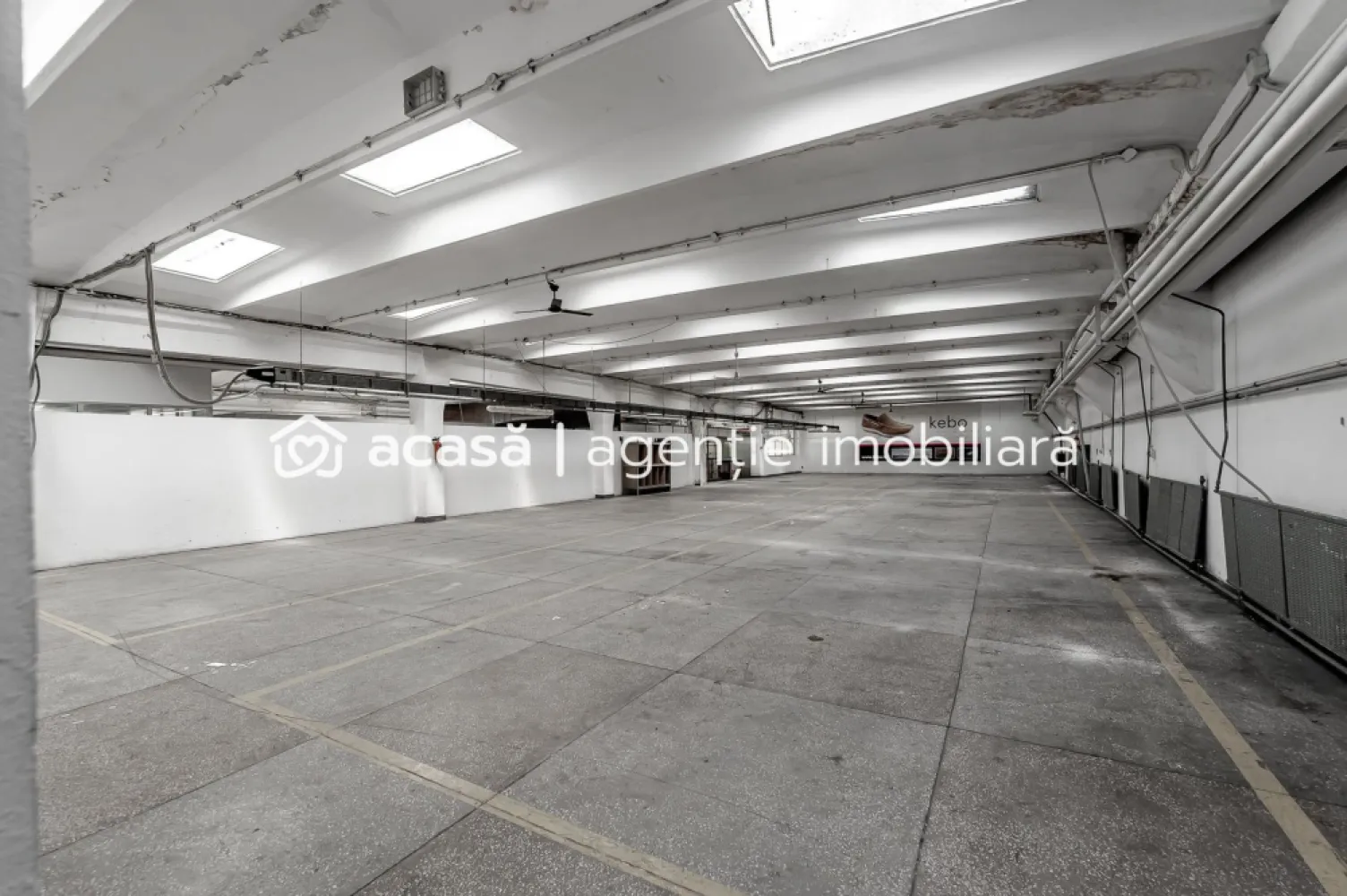 4.049 mp Hale industriale în Arad, aproape de A1