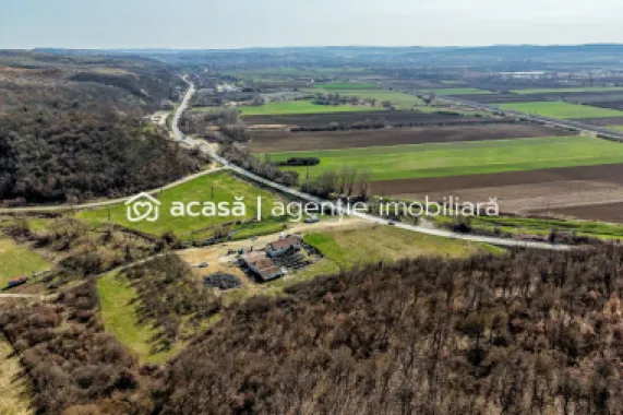 Oportunitate Investitie! Proprietate comerciala/industriala în Paulis