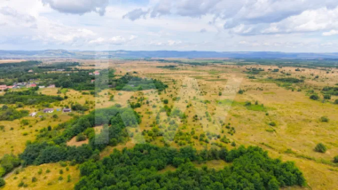 Teren extravilan de vânzare - Valea Avrigului, Sibiu