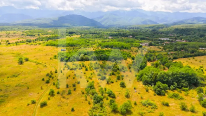 Teren extravilan de vânzare - Valea Avrigului, Sibiu