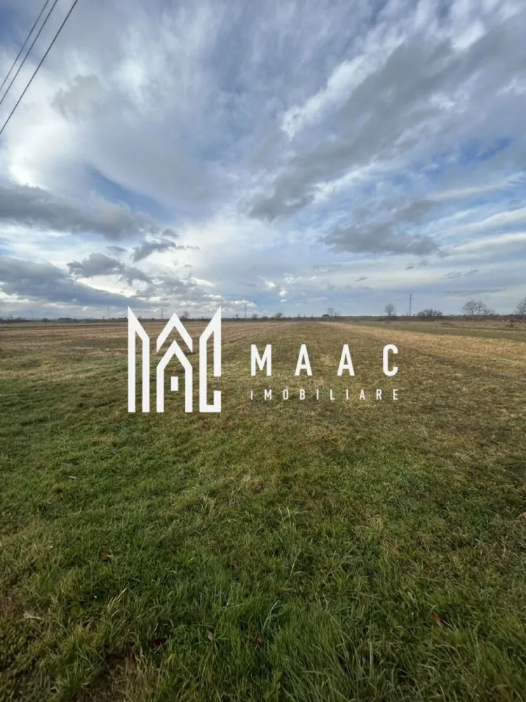 Teren Intravilan I Cârțișoara I 1200 MP - MAAC Imobiliare vă propune spre vânzare un teren intravilan cu potențial turistic și pentru construcția unei case, situat înspre Transfăgărășan, într-o zonă pitorească, ideală pentru relaxare, turism și investiție. Suprafață totală: 1.200 mp Acces: direct din drumul principal, facil și rapid Avantaj major: Terenul este pretabil pentru construcția unei cabane de vacanță, pensiune, casă de oaspeți sau chiar o locuință permanentă, datorită poziționării privilegiate, accesului facil și peisajului spectaculos. Beneficii: • Zonă turistică în plină dezvoltare, aproape de Transfăgărășan • Utilități în proximitate • Cadru natural montan, liniște și aer curat • Priveliște spectaculoasă, ideală pentru relaxare și activități recreative Pentru mai multe detalii și vizionări, precizati telefonic ca ati vazut anuntul cu ID: CP2807222 }}