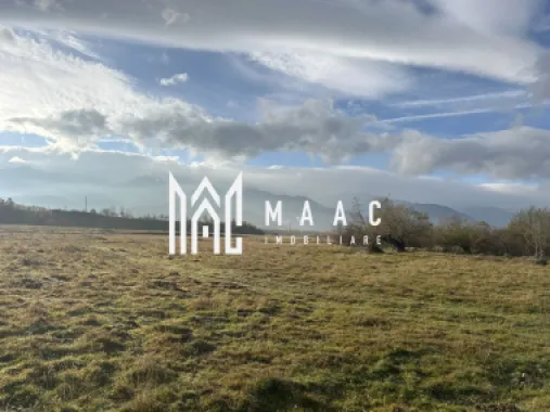 Teren cu potențial turistic I Cârțișoara I 3000 MP