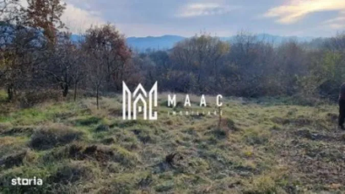 Logo MAAC IMOBILIARE logo