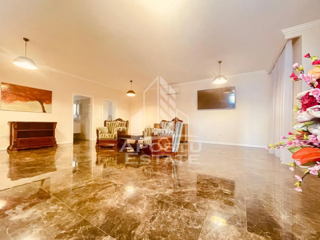 Spatiu Comercial Premium Subcetate
