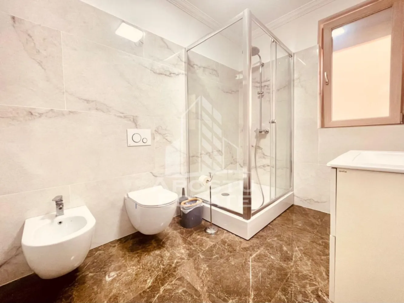Spatiu Comercial Premium Subcetate