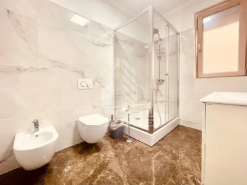 Spatiu Comercial Premium Subcetate