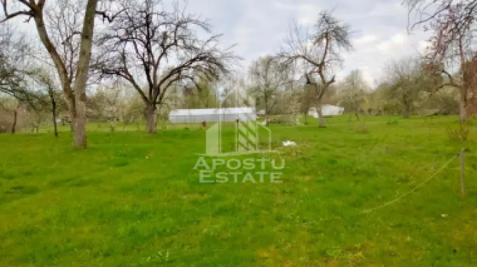 Teren Intravilan Magulicea - Zona Varfurile
