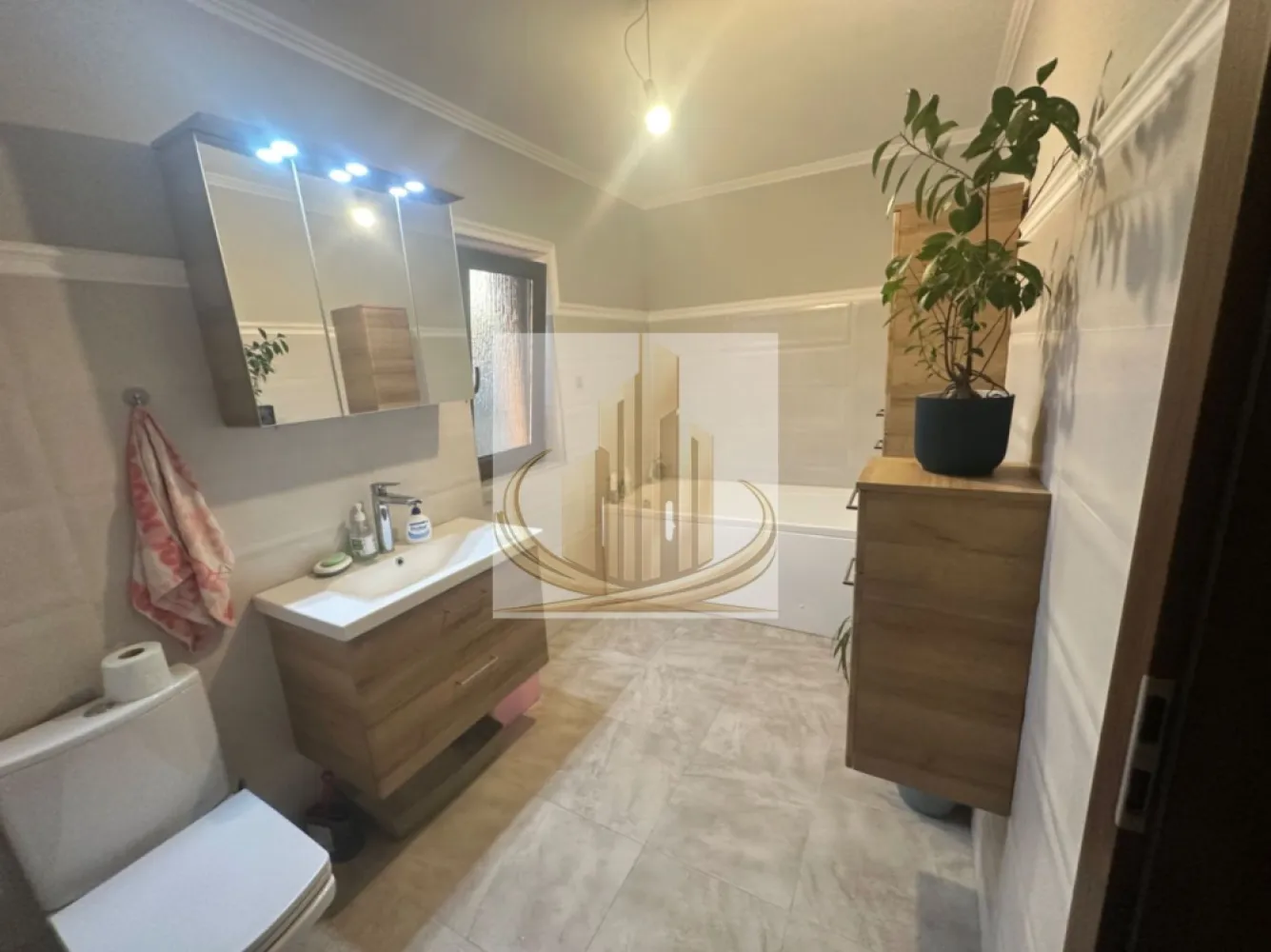 Duplex Dumbrăvița 5 camere 300 mp teren