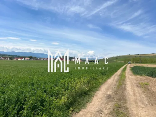 Logo MAAC IMOBILIARE logo