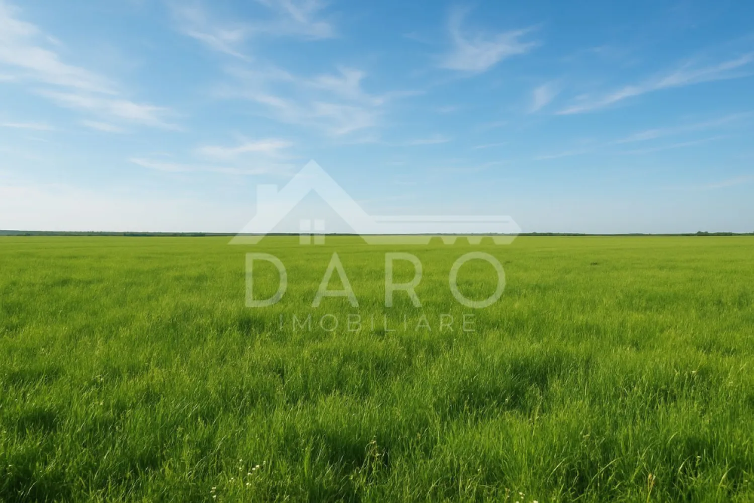 Vanzare de teren agricol in localitatea Voivodeni. - 🌱 De vânzare – 100 ha teren extravilan în localitatea Uyghur-Udein 🌱 📍 Detalii: 🔹 Suprafață totală: 100 ha 🔹 Comasare: 80% 🔹 Utilizare: 25 ha pășune 75 ha arabil 🔹 Regim: extravilan 🔹 Preț: 5.900 € / ha 🔹 Se vinde întreaga suprafață (nu se împarte). 🔹 Înregistrat la APIA – se primesc subvenții ✨ Avantaje: ✅ Teren perfect pentru investiții în agricultură ✅ Pretabil pentru orice tip de cultură: grâu, porumb, floarea-soarelui, rapiță, orz, cartofi sau chiar livadă de pomi fructiferi }}
